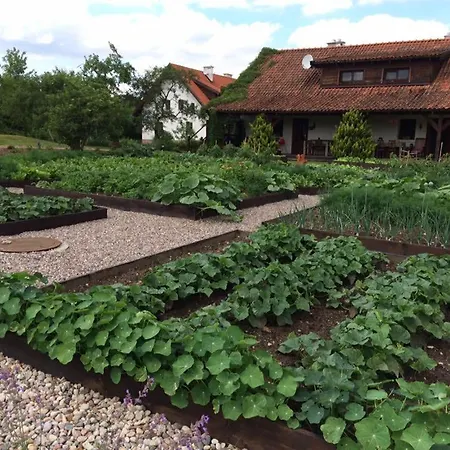 Osada Dzika Kaczka Hotel Mikołajki
