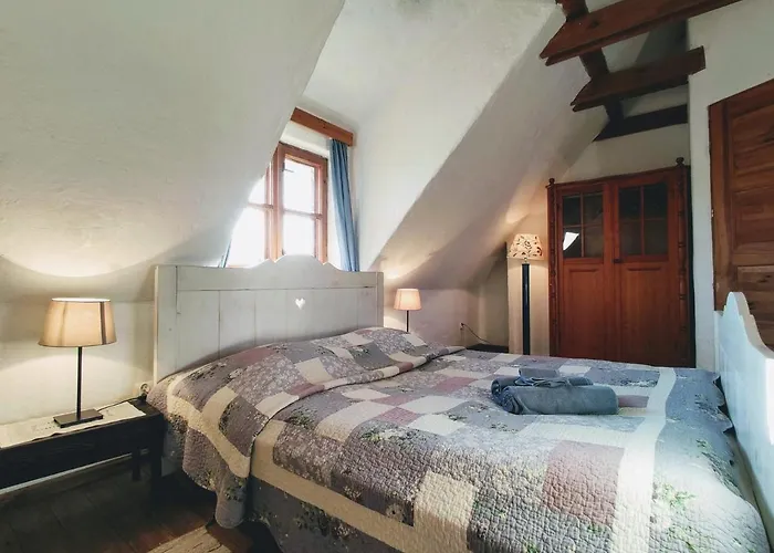 Osada Dzika Kaczka Mikołajki