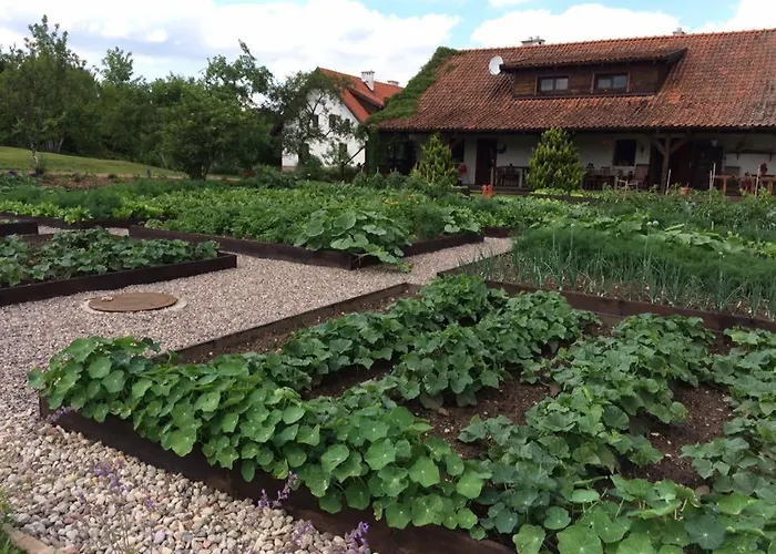 Osada Dzika Kaczka Hotel Mikołajki